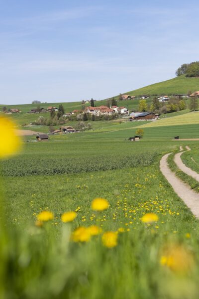 Landschaft_Fruehling_hoch.jpg